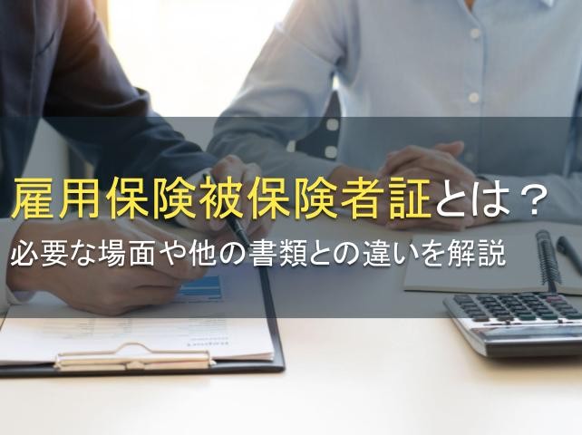 雇用保険被保険者証とは？必要な場面や他の書類との違いを解説