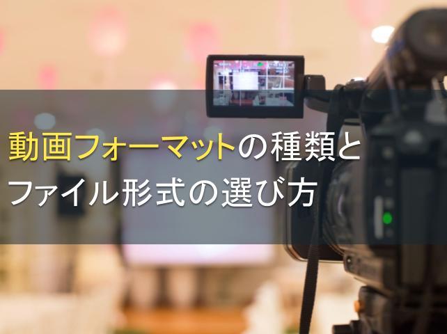 動画フォーマットの種類とファイル形式の選び方