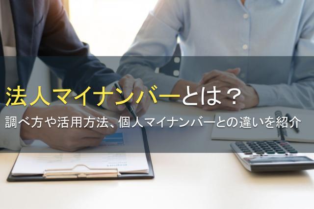 法人マイナンバーとは？調べ方や個人との違い