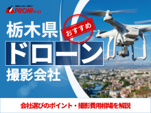 栃木のドローン撮影・空撮会社6選！プロ操縦士に依頼したい人必見【2025年最新版】