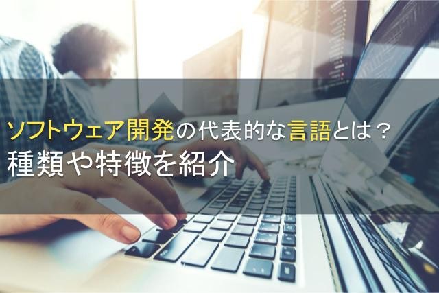 ソフトウェア開発の代表的な言語とは？種類や特徴を紹介【2025年最新版】