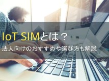 IoT SIMとは？法人向けのおすすめや選び方も解説【2024年最新版】