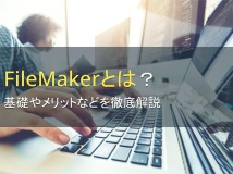FileMakerとは？基礎やメリットを解説【2024年最新版】