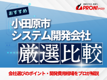 小田原市のシステム開発会社おすすめ7社厳選比較！【2025年最新版】