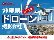 沖縄のドローン撮影・空撮会社6選！プロ操縦士に依頼したい人必見【2025年最新版】