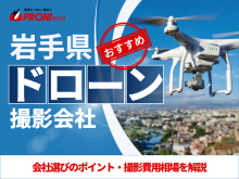 岩手のドローン撮影・空撮会社5選！プロ操縦士に依頼したい人必見【2025年最新版】