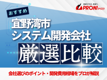 宜野湾市のシステム開発会社おすすめ5社厳選比較！【2025年最新版】