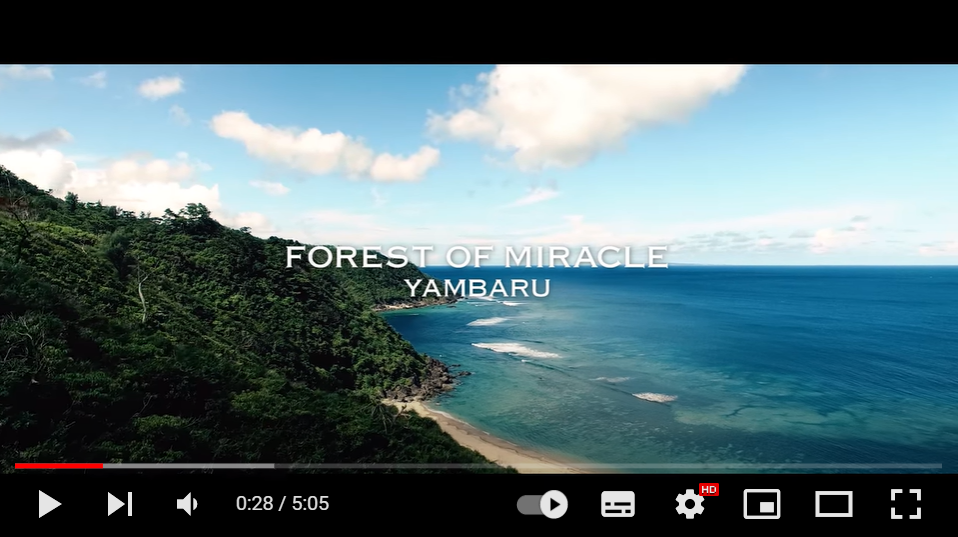 観光PR動画の成功事例 沖縄県公式チャンネル世界自然遺産PR動画