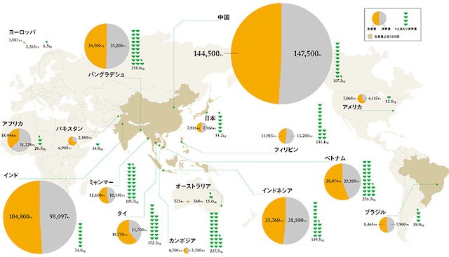 インフォグラフィック 生産量と消費量で見る世界の米事情