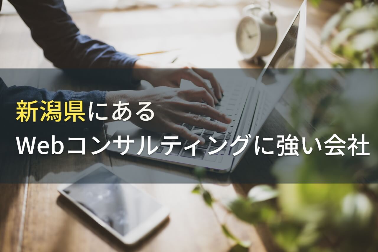 新潟のWebコンサルティングでおすすめのホームページ制作会社5選！費用や選び方も解説【2025年最新版】