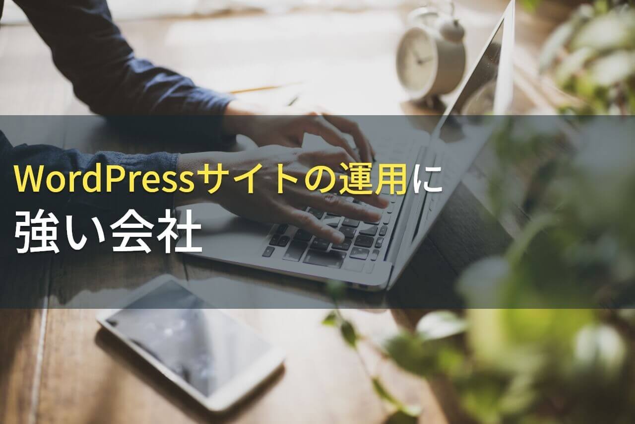 WordPressサイトの運用に強い会社5選！費用や選び方も解説【2024年最新版】