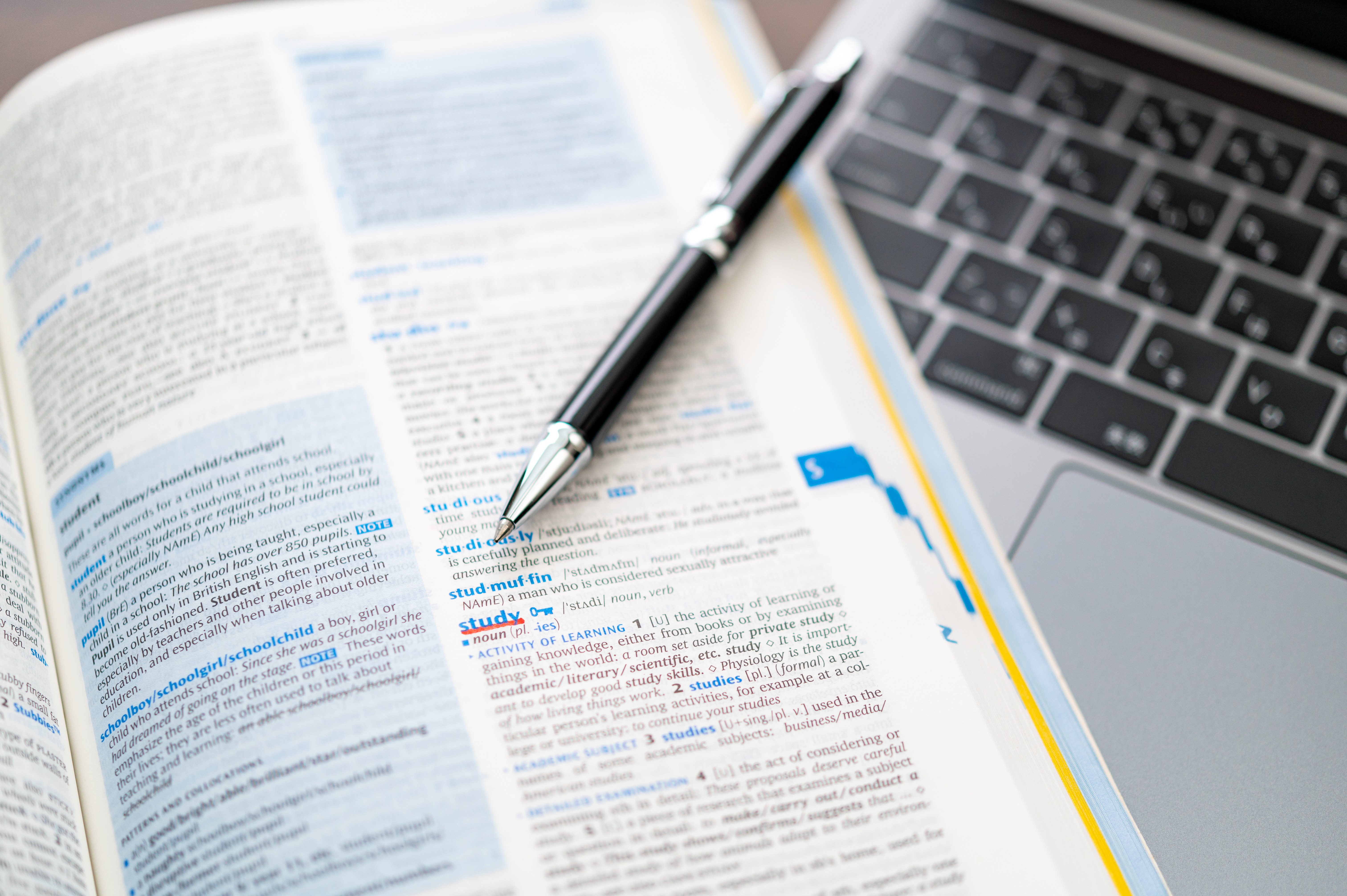 英語サイト制作の平均費用と料金相場【2026年最新版】