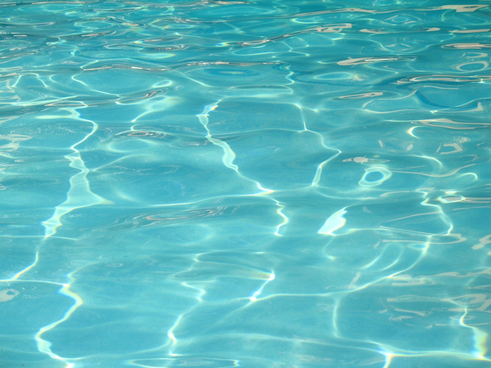 知らなきゃ困る！資格が必要な浄化槽清掃を頼める業者はここだ！厳選5社【2025年最新版】