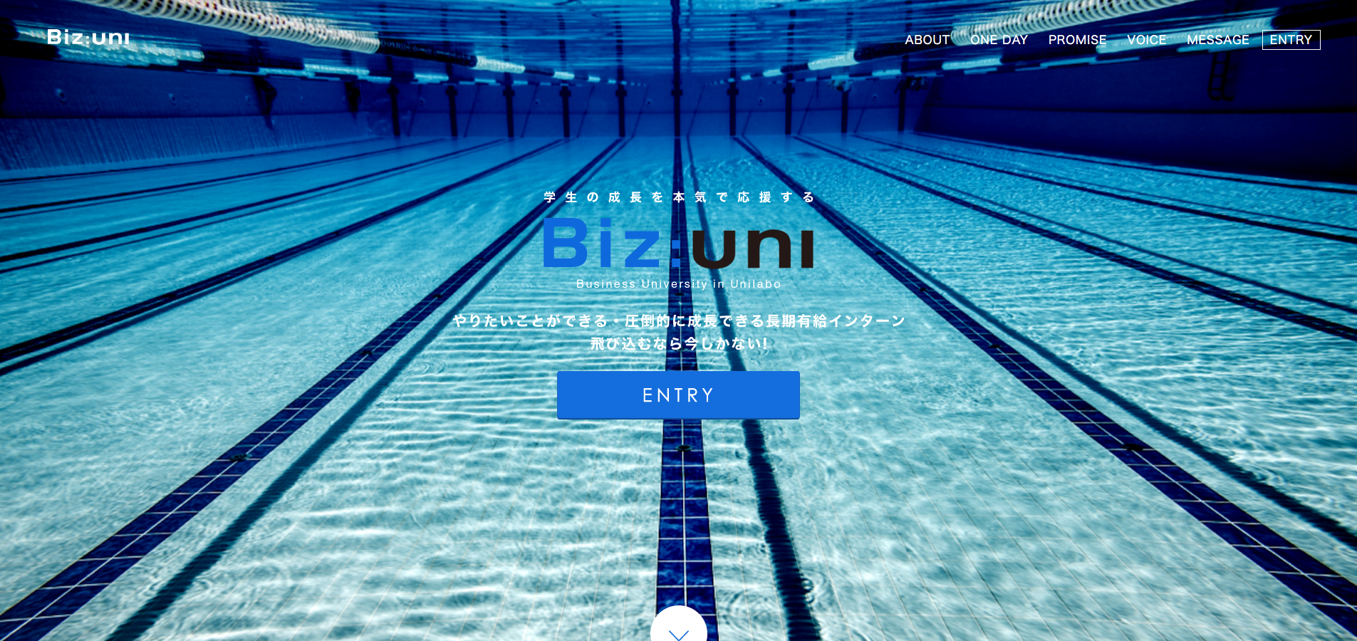 「Biz:uni」公式サイト