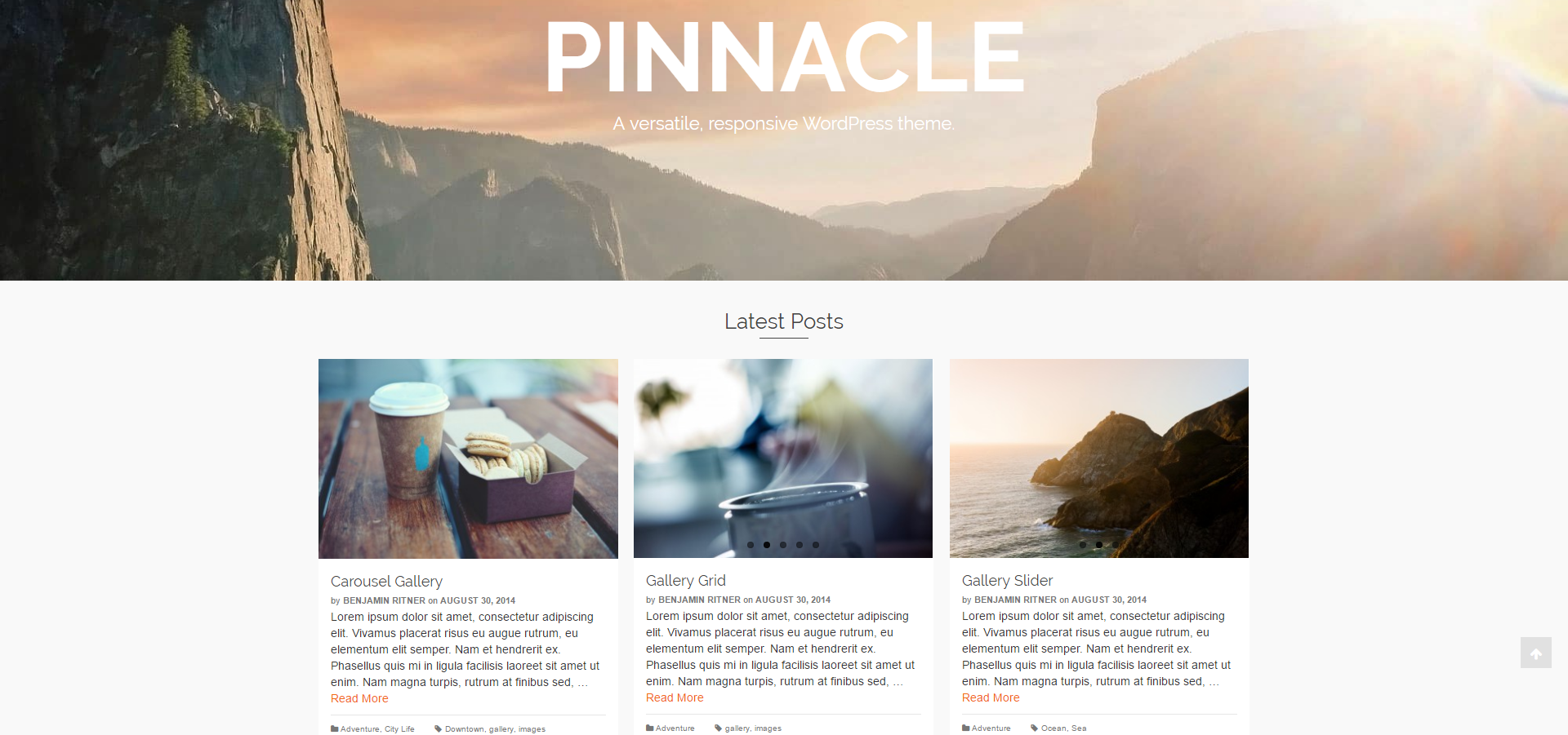 「Pinnacle｜デモ」公式サイト