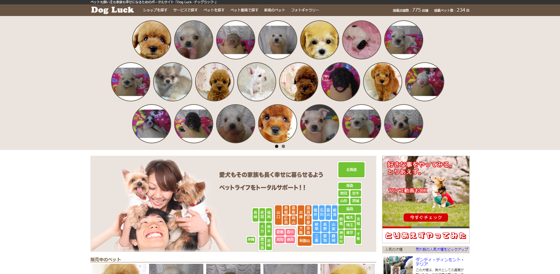 「Dog Luck」のサイト