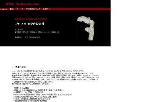 ニケ・ソフトウェア合資会社のニケ・ソフトウェアサービス