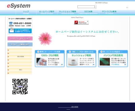 イーシステムのイーシステムサービス