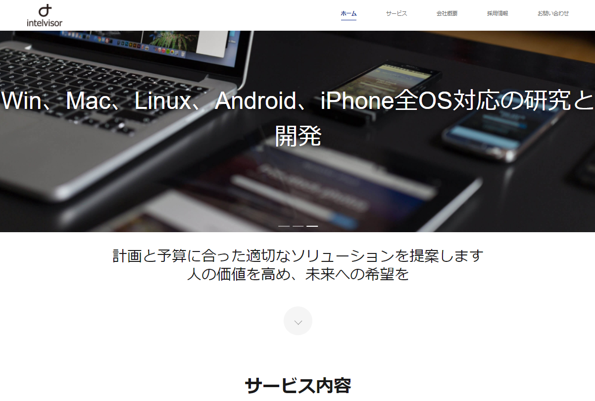 株式会社インテルバイザーの株式会社インテルバイザーサービス