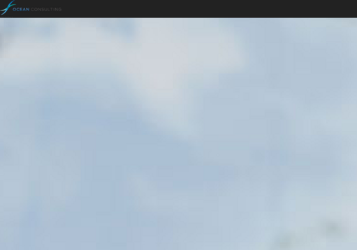 株式会社オーシャン・コンサルティングの株式会社オーシャン・コンサルティングサービス