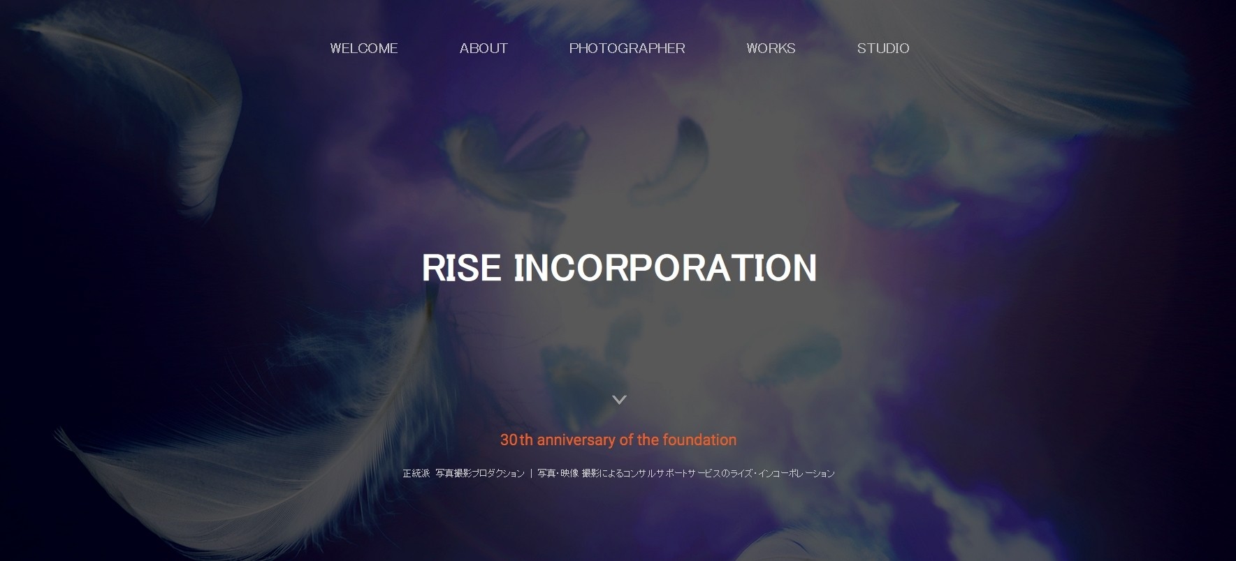 有限会社ライズ・インコーポレーションの有限会社ライズ・インコーポレーションサービス