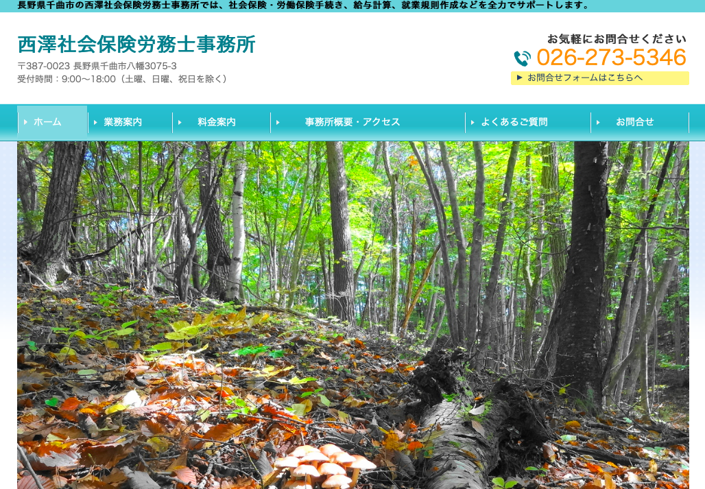 西澤社会保険労務士事務所の西澤社会保険労務士事務所サービス