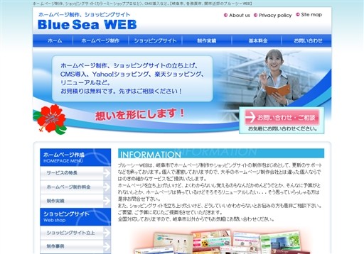 ブルーシーWEBのブルーシーWEBサービス