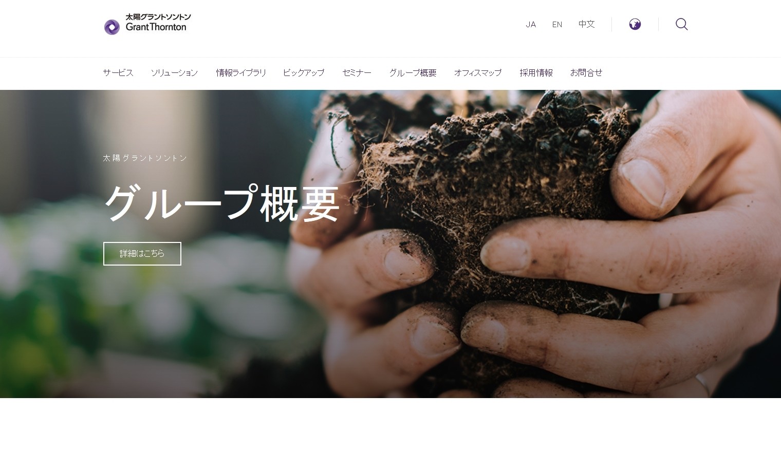 太陽グラントソントングループの太陽グラントソントン株式会社サービス