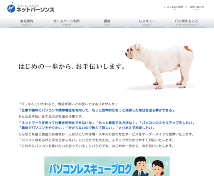 有限会社ネットパーソンズの有限会社ネットパーソンズサービス