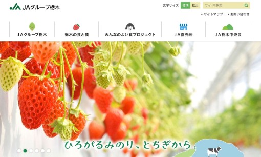 JA栃木人材派遣株式会社の人材派遣サービスのホームページ画像