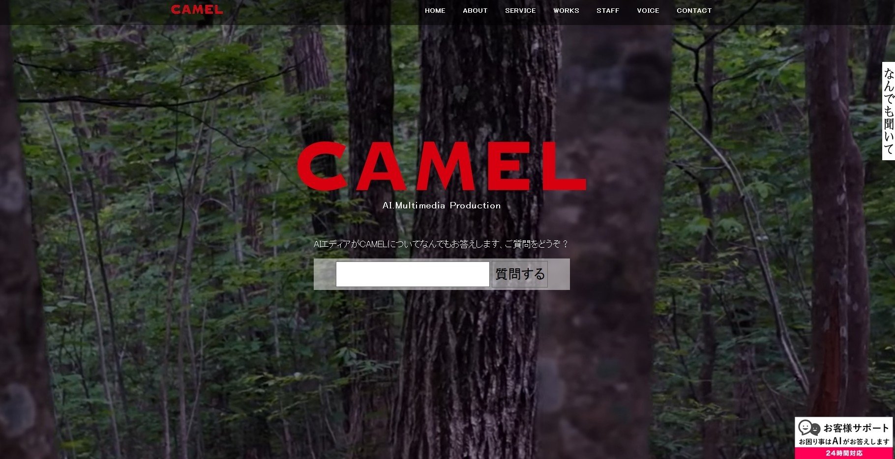 CAMEL株式会社のCAMEL株式会社サービス