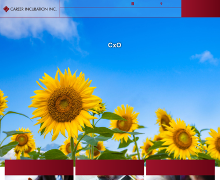 キャリア インキュベーション株式会社のキャリア インキュベーション株式会社サービス