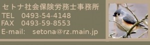 セトナ綜合事務所のセトナ社会保険労務士事務所サービス