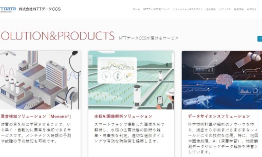 株式会社NTTデータCCSのコンサルティングサービスのホームページ画像