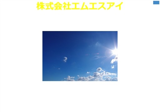 株式会社エムエスアイの株式会社エムエスアイサービス