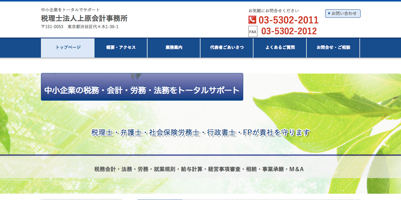 税理士法人上原会計事務所の税理士法人上原会計事務所サービス