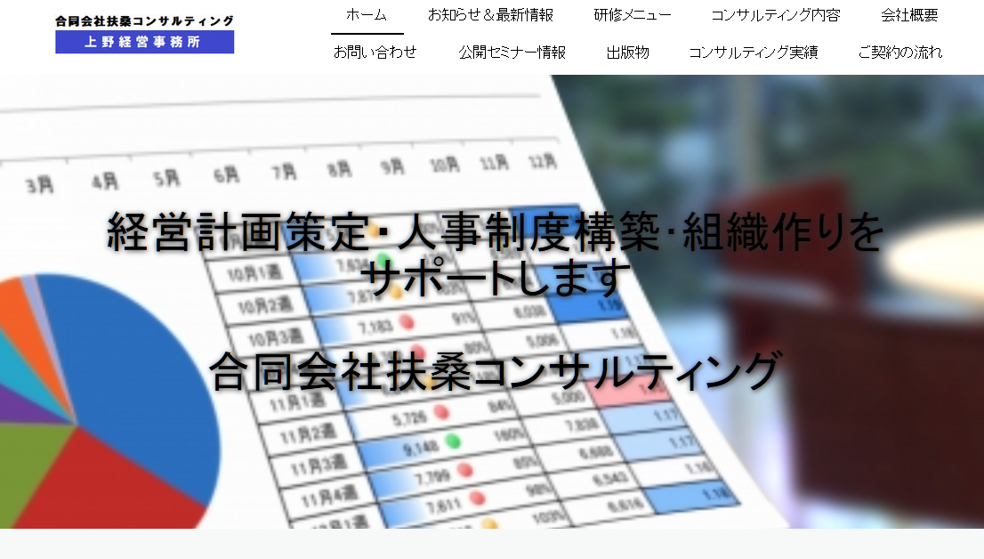 合同会社 扶桑コンサルティングの合同会社 扶桑コンサルティングサービス
