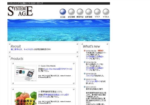 システムエイジ株式会社のシステムエイジ株式会社サービス