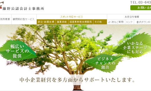 藤野公認会計士事務所の税理士サービスのホームページ画像