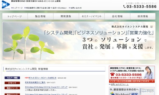 株式会社カイエンシステム開発のシステム開発サービスのホームページ画像