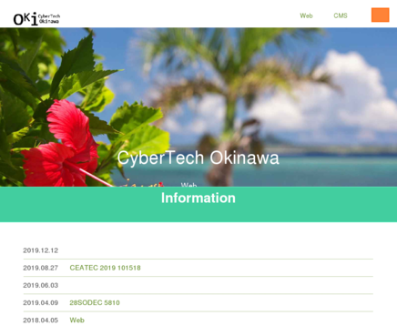 合同会社サイバーテック沖縄の合同会社サイバーテック沖縄サービス