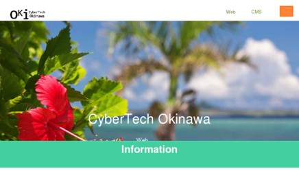 合同会社サイバーテック沖縄のホームページ制作サービスのホームページ画像