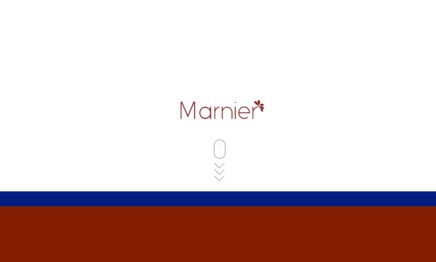 株式会社Marnierのホームページ制作サービスのホームページ画像