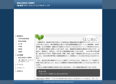 株式会社東京マネージメントコンサルティングの株式会社東京マネージメントコンサルティングサービス
