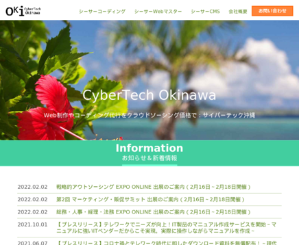 合同会社サイバーテック沖縄の合同会社サイバーテック沖縄サービス