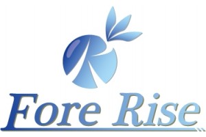株式会社Fore Rise（フォアライズ）のFore Riseサービス