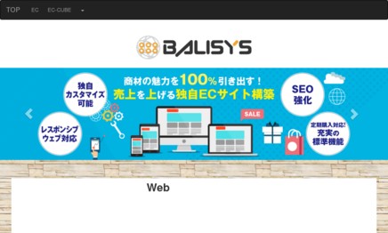 株式会社バリシスのホームページ制作サービスのホームページ画像