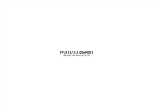 TRUEBEAGLEGRAPHICSのTRUEBEAGLEGRAPHICSサービス