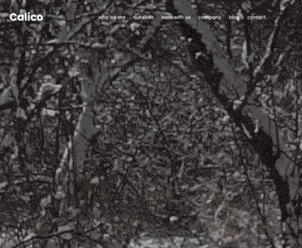 有限会社キャリコの有限会社キャリコサービス