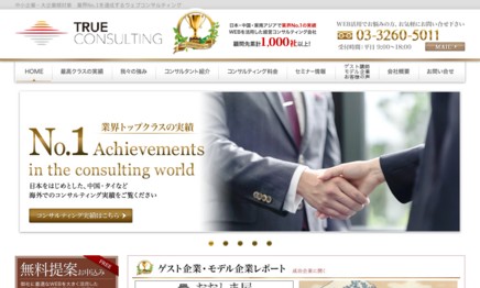 トゥルーコンサルティング株式会社(TRUE CONSULTING CO., LTD.)のコンサルティングサービスのホームページ画像